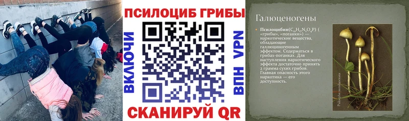 Галлюциногенные грибы Psilocybine cubensis  Ясногорск 